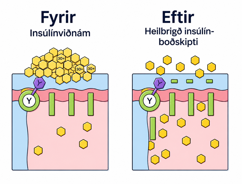 INSÚLÍNÓÞOL